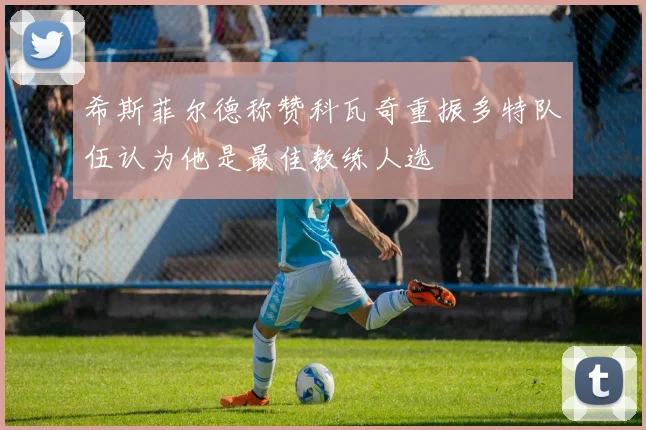 希斯菲尔德称赞科瓦奇重振多特队伍认为他是最佳教练人选