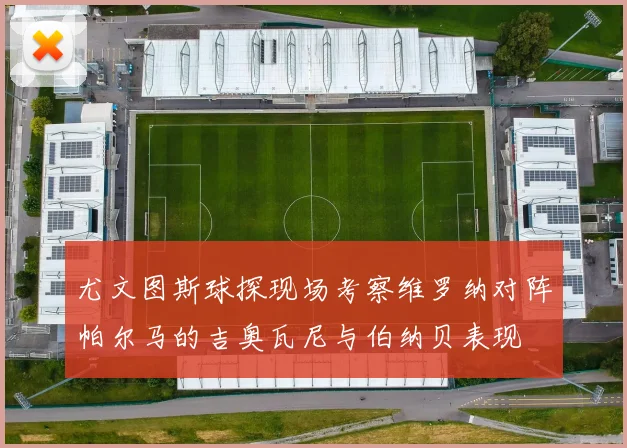 尤文图斯球探现场考察维罗纳对阵帕尔马的吉奥瓦尼与伯纳贝表现